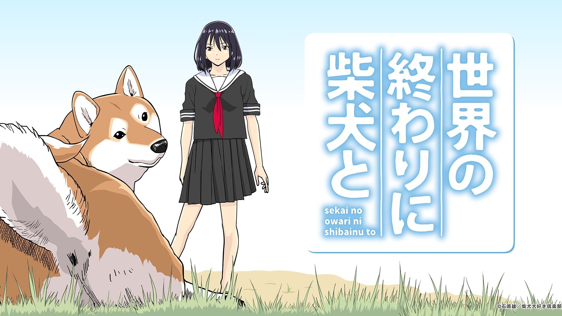 สปอยอนิเมะใหม่ Sekai no Owari ni Shiba Inu to รอคอยเรื่องต่อไป